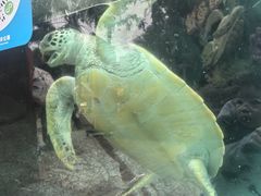 -海合安成都极地海洋公园