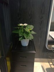 -苑苑发型设计