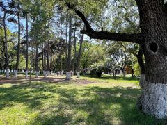 -长春市南湖公园