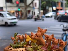 -WHEN PIGS FLY当猪飞
