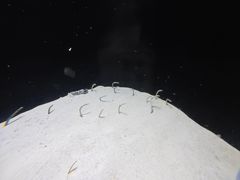 -新加坡海洋生态馆