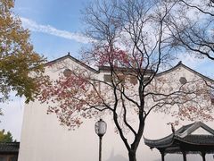 -老门东历史文化街区