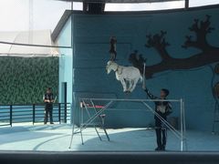 景点-永记生态园