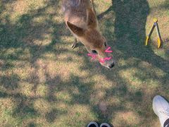 -南京金牛湖风景区