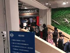 -育音堂音乐公园