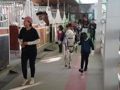 -名驭国际马术学院