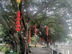 -晓港公园