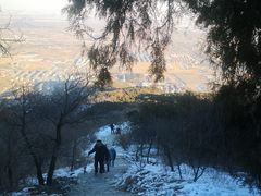 -北京西山国家森林公园