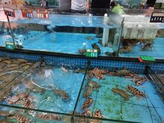 -虎门不夜天海鲜市场