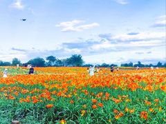 -汉长安城未央宫国家考古遗址公园