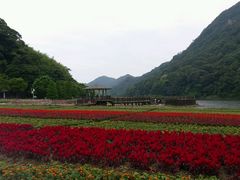 景点-广州市石门国家森林公园