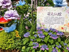 -杭州少年儿童公园