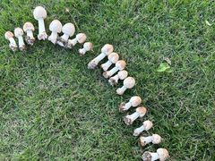 -俺家厨子土菜馆