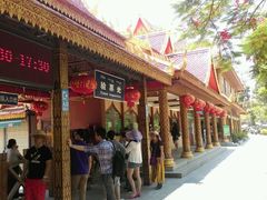 -西双版纳傣族园