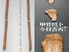 -山东博物馆