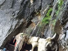 -塔云山