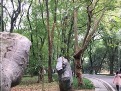 -东湖落雁景区