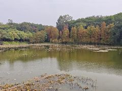 -鹿鸣酒家(越秀店)