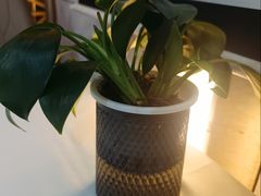 -东方红酒楼(知春路店)