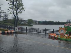 -上海长兴岛郊野公园