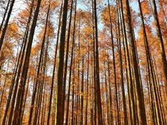 -山王坪喀斯特国家生态公园