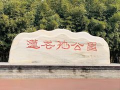 -莲花池公园
