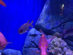 -成都浩海立方海洋公园