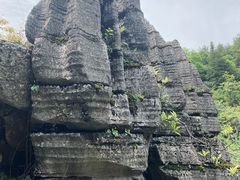 -梭布垭石林景区