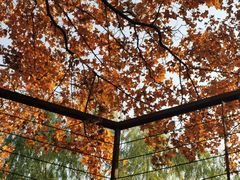 -北京园博大酒店