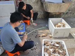 -濠轩阁特色生蚝火锅总店
