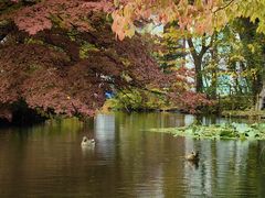 -北海道厅旧本厅舍(旧本庁舎)