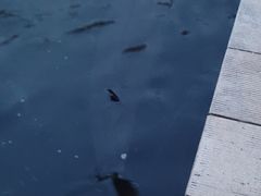 -天源渔港农庄