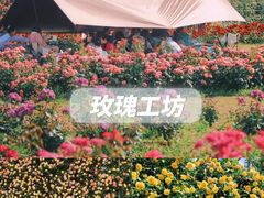 -栖露营camping·天幕烧烤·团建拓展·采摘营地