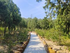 -白水寺森林公园