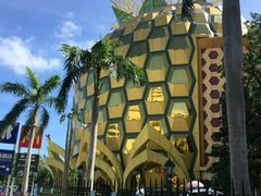 -九毛九西北菜(大东海店)