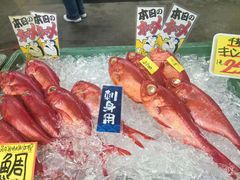 -海鮮寿司とれとれ市場