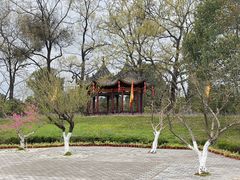 -武侯墓风景区