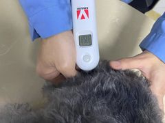 -宠颐生贝利健动物医院(谢家湾分院)