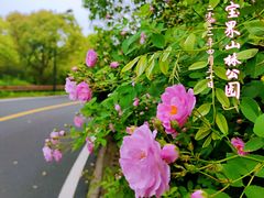 -宝界山林公园