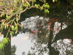 -寒山寺