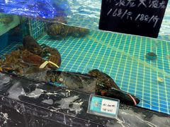 -渔民船说·北塘海鲜·天津菜·海肠捞饭(北塘古镇店)