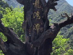 -龙湾潭国家森林公园