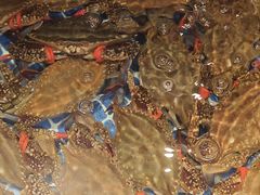 -闽海肴(北辰荟店)