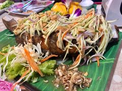 -Jungle Kitchen