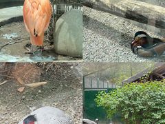 -青藏高原野生动物园