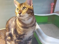 -乐宠宠物店(世纪金源店)