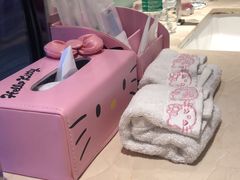 -成都明宇丽雅饭店