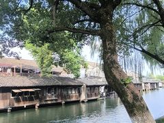-乌镇景区