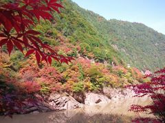 -秦岭风景区