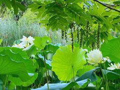 -北京动物园-畅观楼